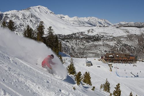 powder skiing and snowboarding on the wall