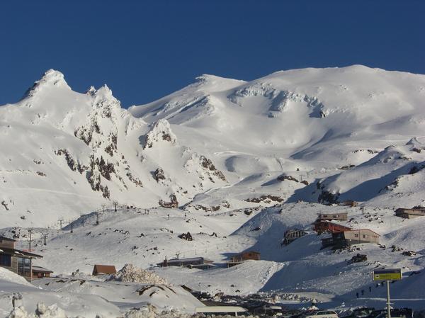whakapapa whakapapa