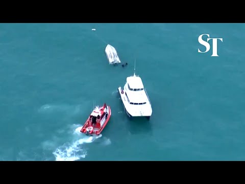 5 dead off New Zealand waters after boat &#039;collided with a whale&#039;