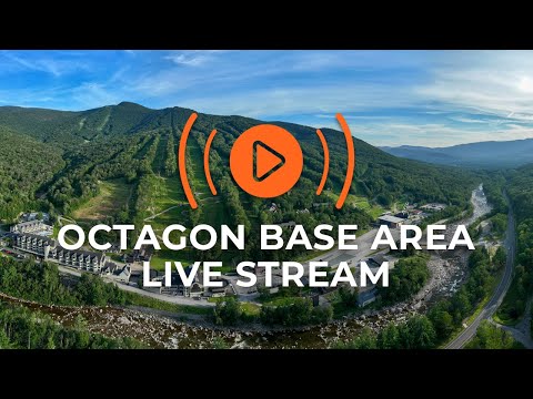 Octagon Base Area | Live at Loon