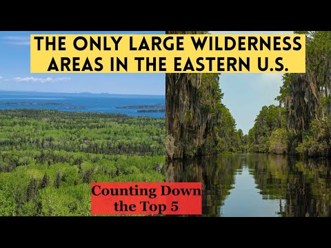What are the Only 5 Large Areas of Wilderness in the Eastern US?