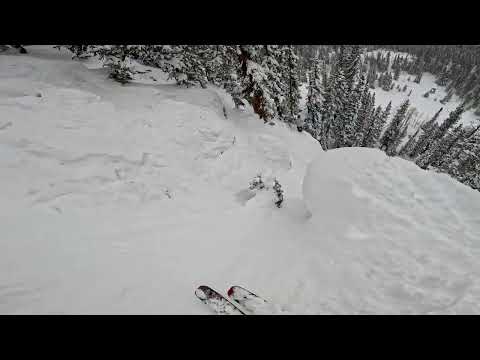 Skiing Body Bag Crested Butte Colorado
