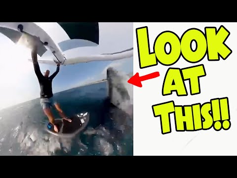 Hit by a Whale!!! - Live interview with Jason Breen - the man himself