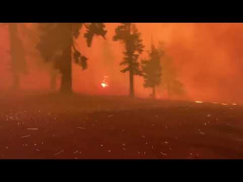 Sierra-at-Tahoe: West Bowl Goals Achieved on 1-Year Caldor Fire Anniversary