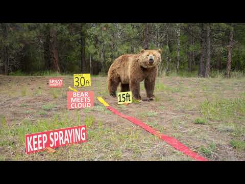 Bear Spray Scenarios &amp; Demonstration