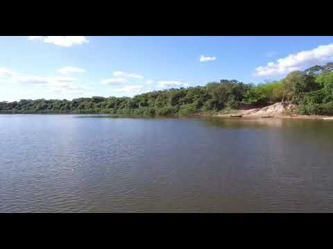 I Lost My Drone to an Alligator || ViralHog