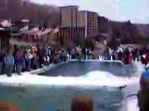 Mike The Ski Destroyer