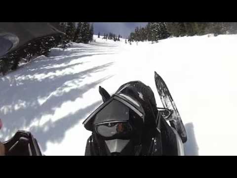 Grizzly Bear Snowmobile