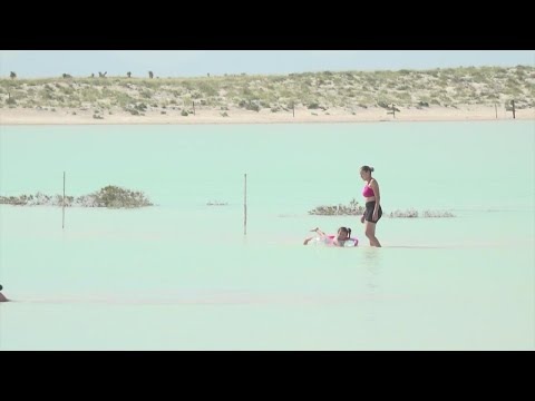 &#039;Almost magical&#039; | A little oasis has formed in the middle of the Texas desert
