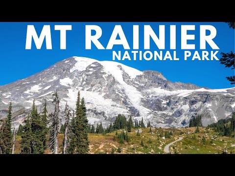 24 Hours in Mount Rainier National Park: Hiking the Skyline Trail, Seeing 5 Waterfalls &amp; More
