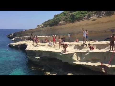Dog high dive in Malta