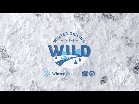 CDOT Winter Driving in the Wild - Speeding