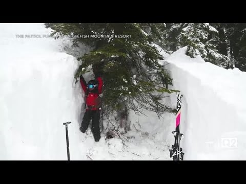 What are &quot;tree wells,&quot; and why are they so dangerous for skiers?