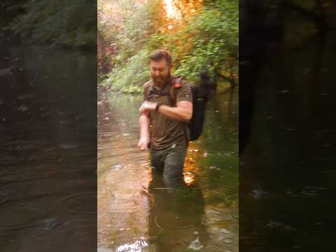 I Got Hit By Lightning.