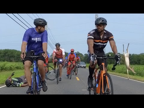 Deer takes out rider....