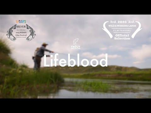 Lifeblood | Muddy Creek’s Revival
