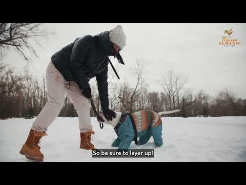 Farmers&#039; Almanac Winter Weather Forecast 2025 - 2026