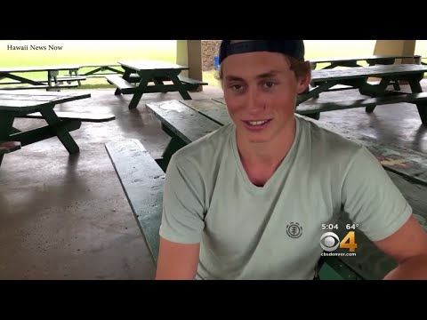 Man Attacked By Bear In Colorado Bitten By Shark In Hawaii