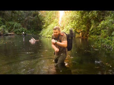 I Got Hit By Lightning.