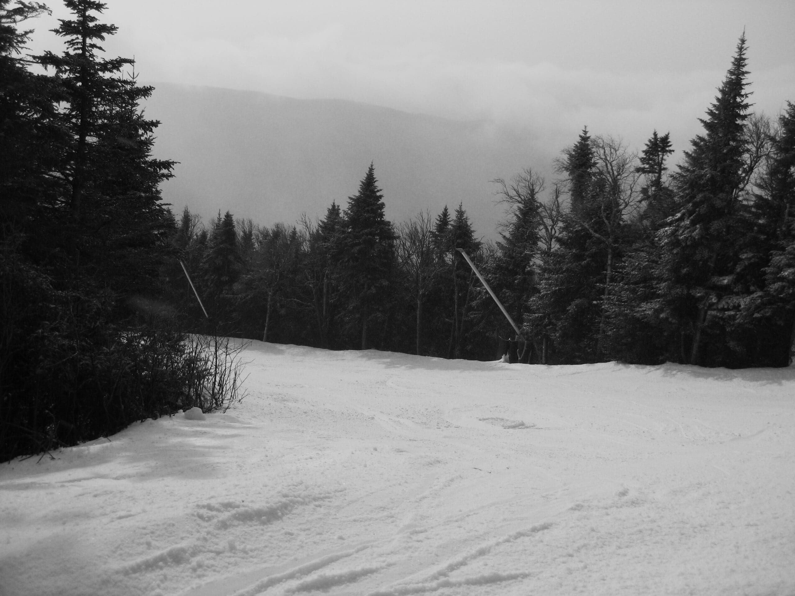 Stowe: Black and White