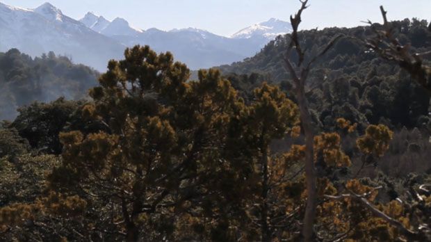 SASS, South Amerca, Andes, shred, powder
