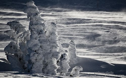 Unofficial Networks, unofficial Whistler, Deep Winter Photo Challenge, Deep Winter contest, Jake Cohn, Andrew Strain, Eric Poulin, Eliel Hindert, Liam Casey, Braden D, Ryan regehr, whistler blackcomb, alex F, Pow slash, skiing, Snowbaording,