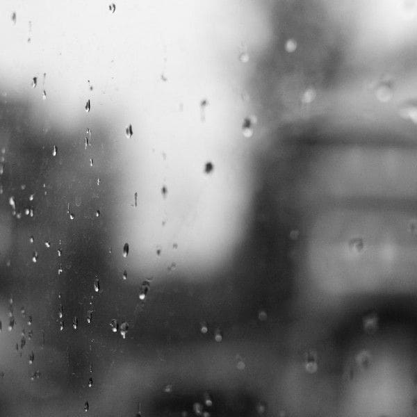 Whistler Blackcomb, rain, whistler, unofficial whistler, unofficial networks, unofficiawhistler.com, unofficialnetworks.com, jake cohn, eliel hindert, park skiing, ski, skiing, rails,