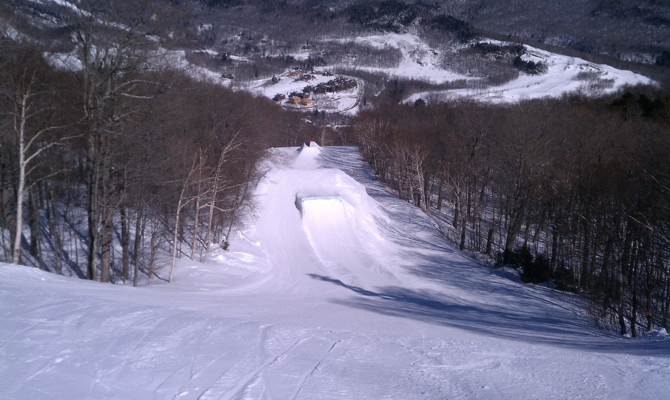 Big Step-Up Jump in Tyro