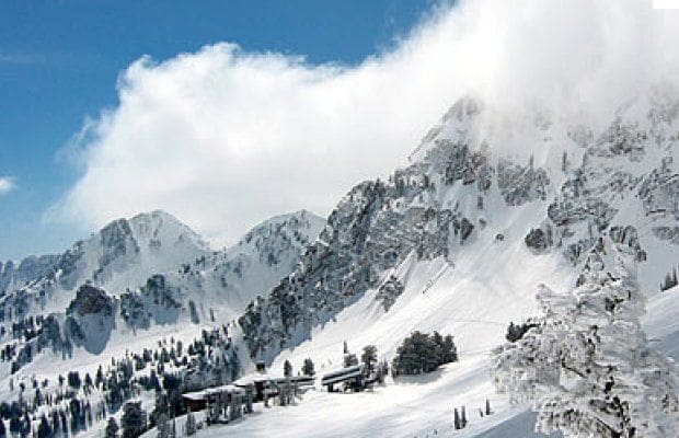 Snowbasin, UT, Utah Skiing, Snowbasin Backcountry, Snowbasin Ski Resort Review, Snowbasin Review