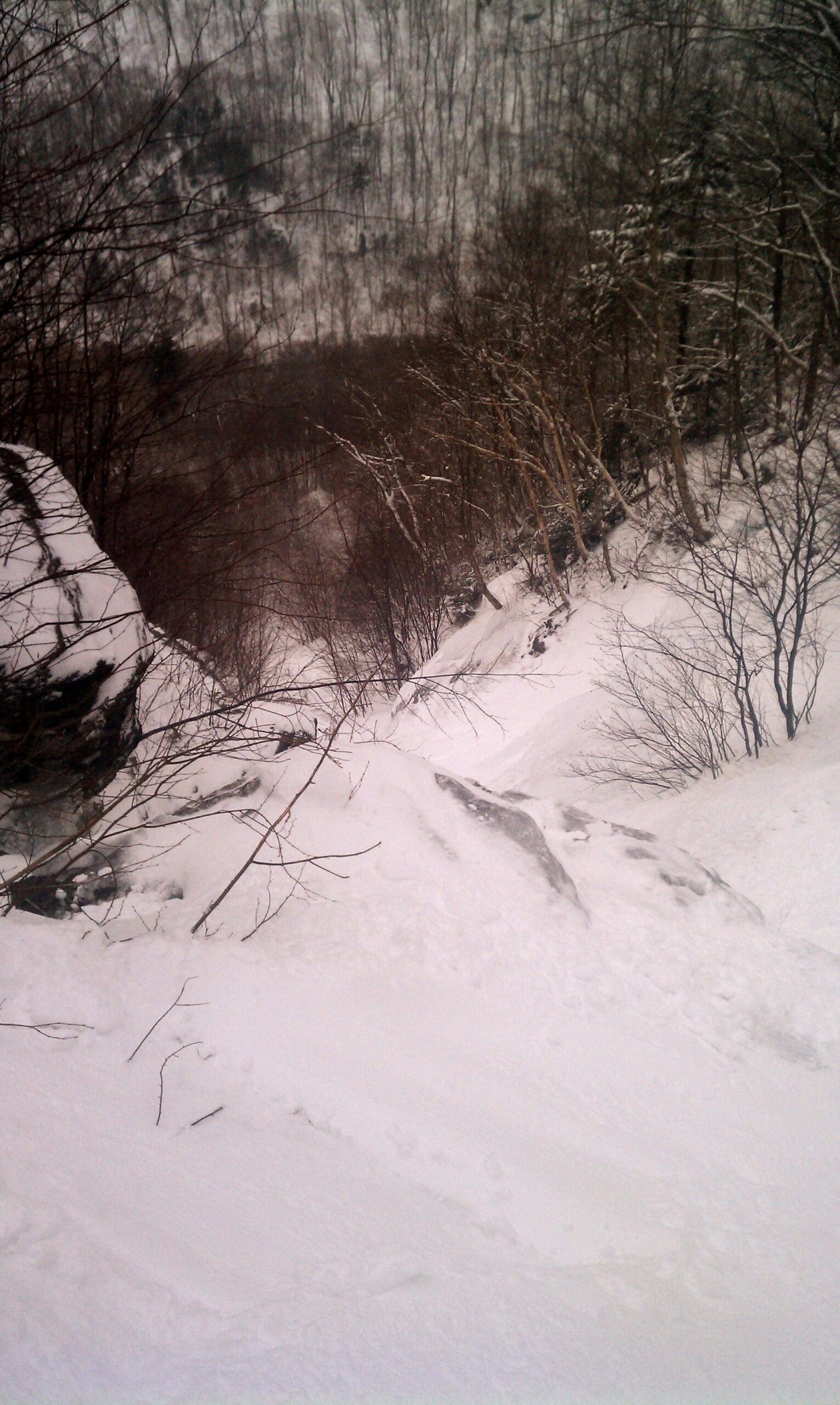 Freshies all the way down!