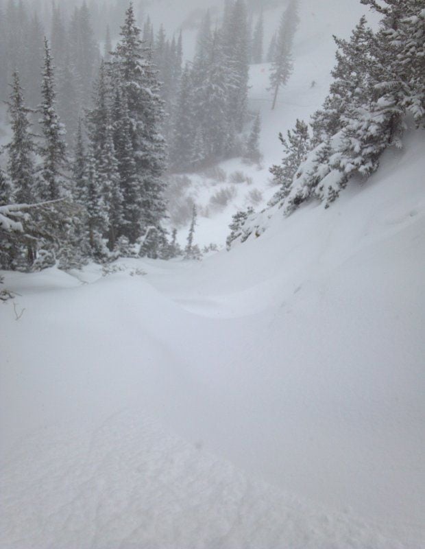 Powder at Snowbird