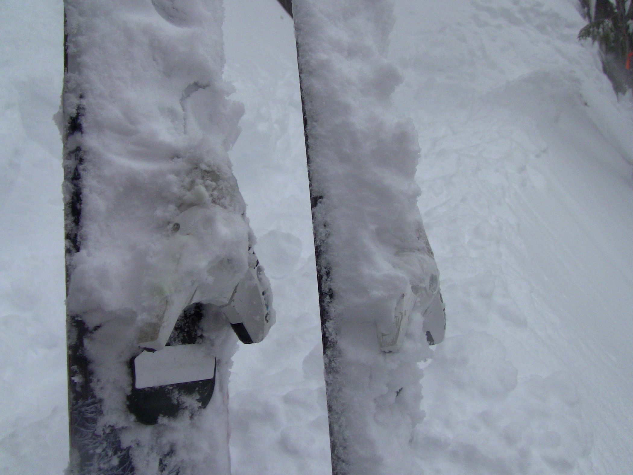 whistler, heavy snow