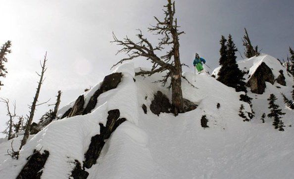 Nash Grimm tree jump