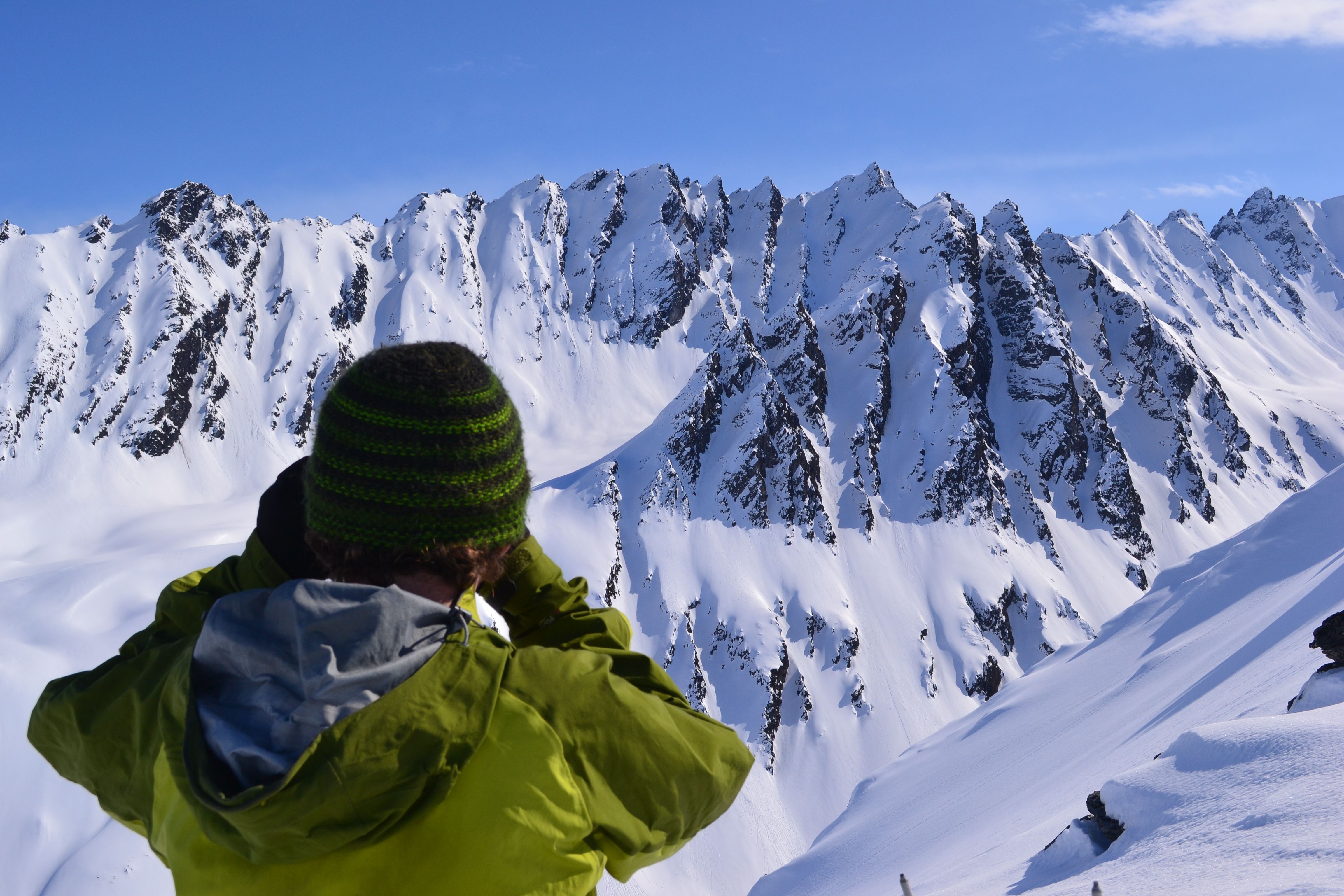Scoping the Iguana Backs