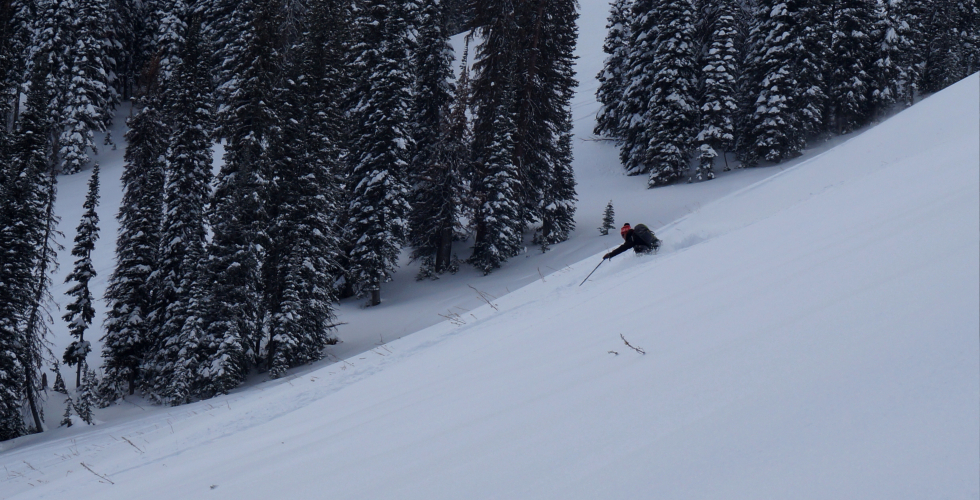 Wyoming skiing at Jackson Hole - POWDER