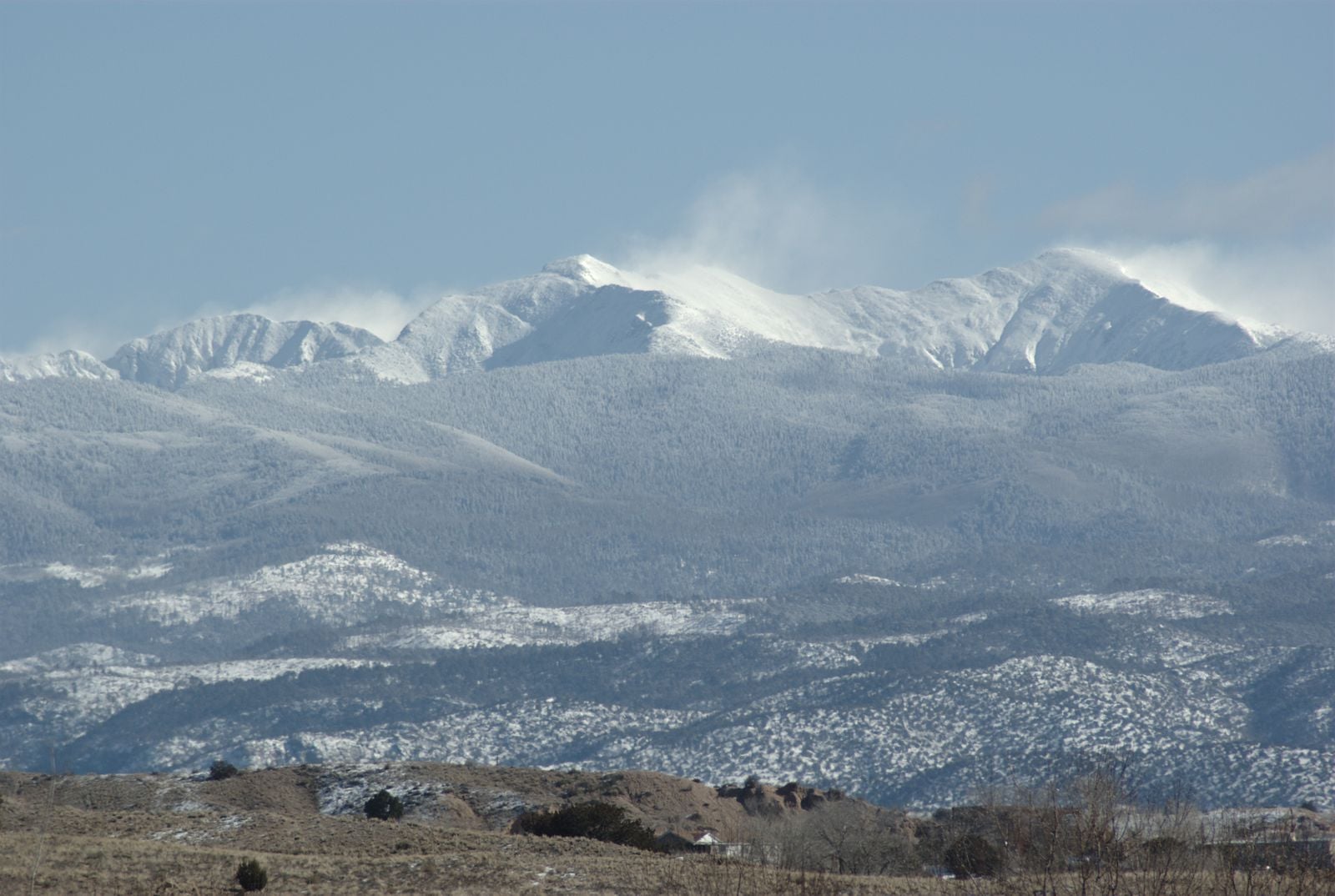 Pecos Wilderness, Illegal, glading