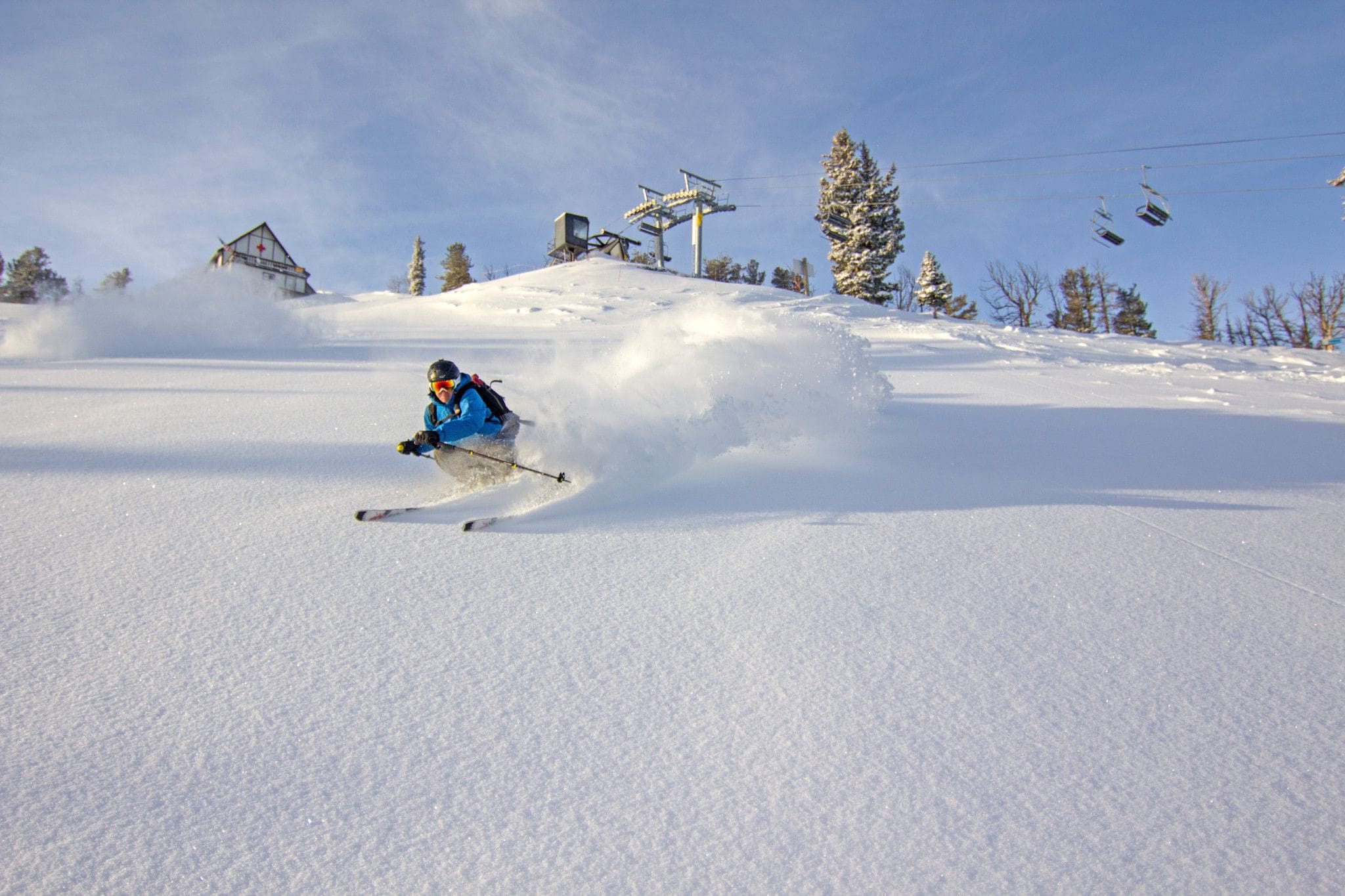 Ostrich Snow Skiing