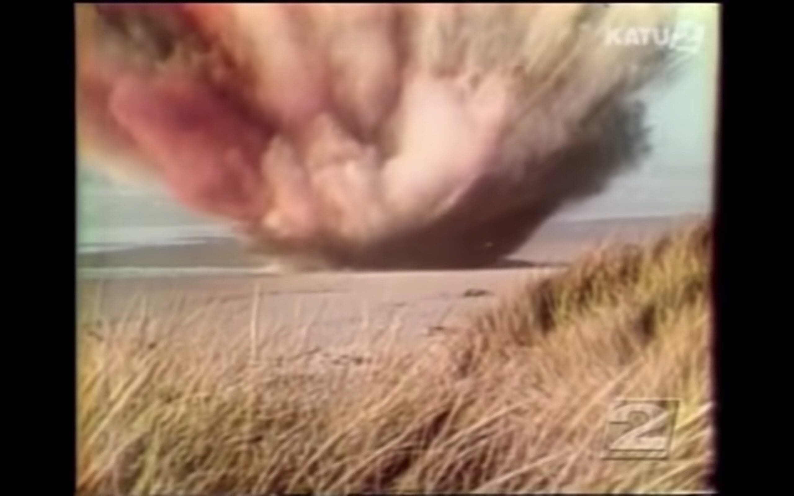 55 Years Ago A Beached Whale In Oregon Was Exploded With A Half Ton of TNT Resulting In A Huge Disaster