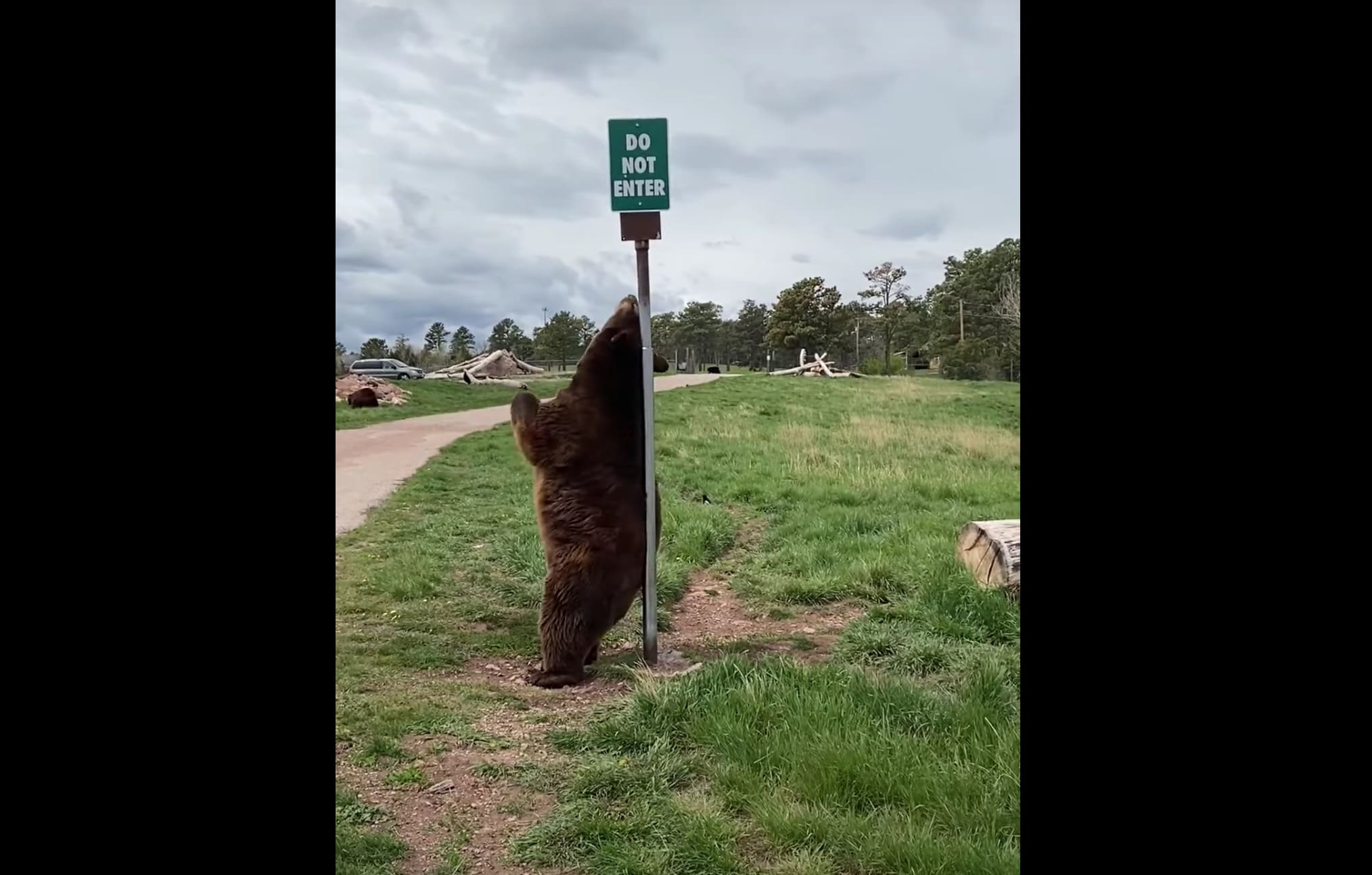 Back Scratch Sign VIDEO: South Dakota Bear Uses Sign Post As Back Scratcher - Unofficial ...