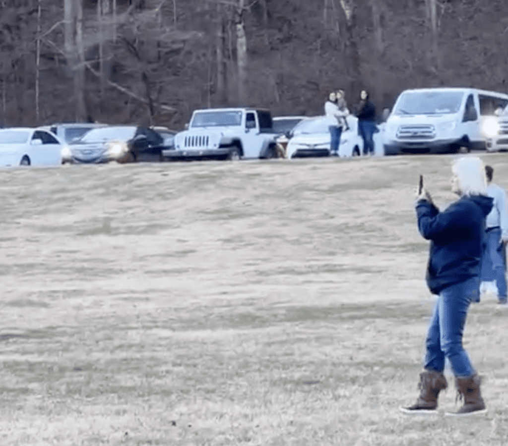 WATCH: Park Ranger Calls Out Tourists For Getting To Close To Elk