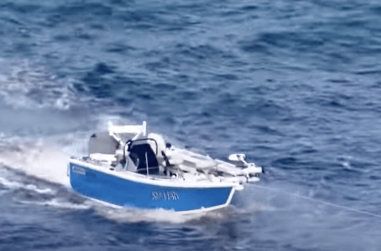 One Man Dies After Breaching Whale Collides With Boat