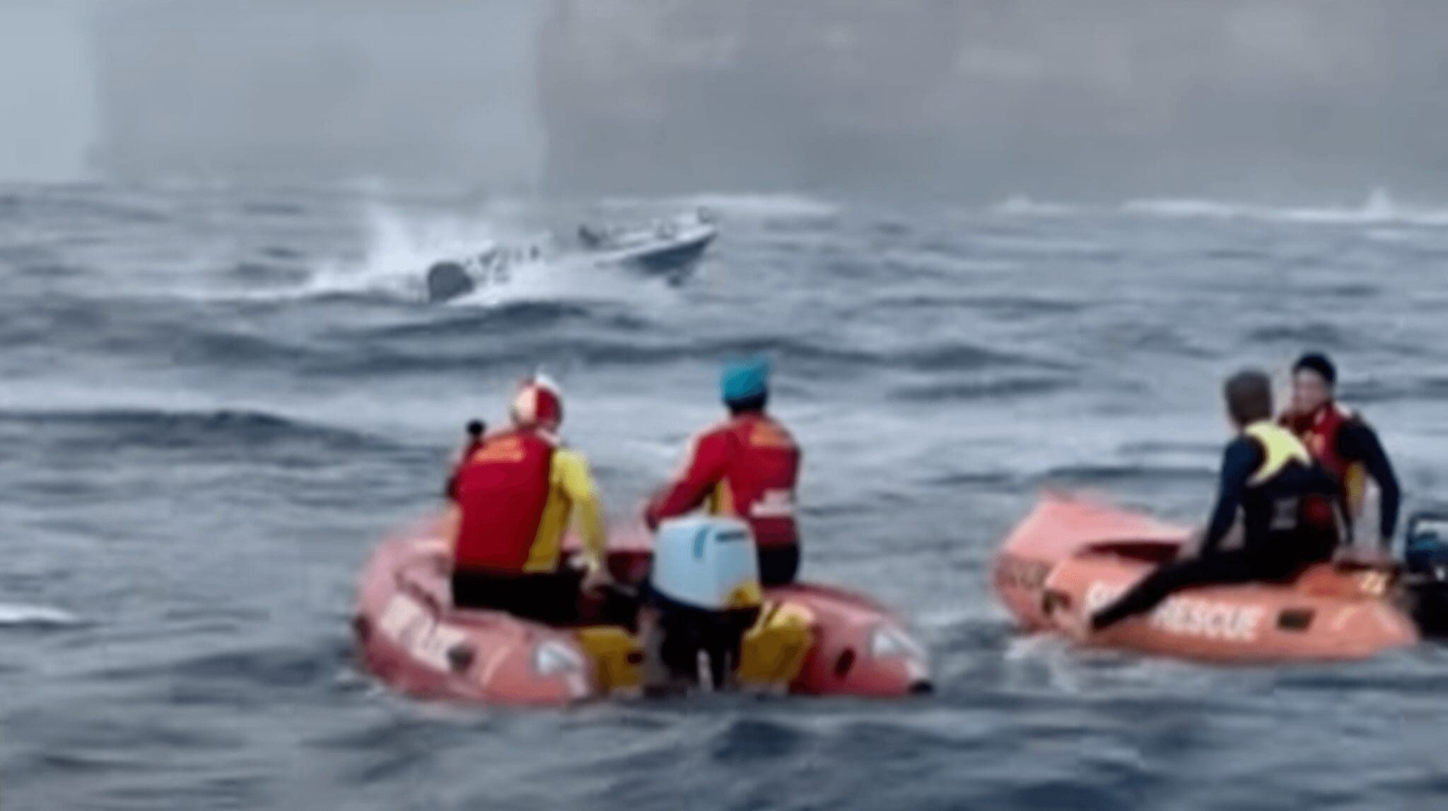 One Man Dies After Breaching Whale Collides With Boat