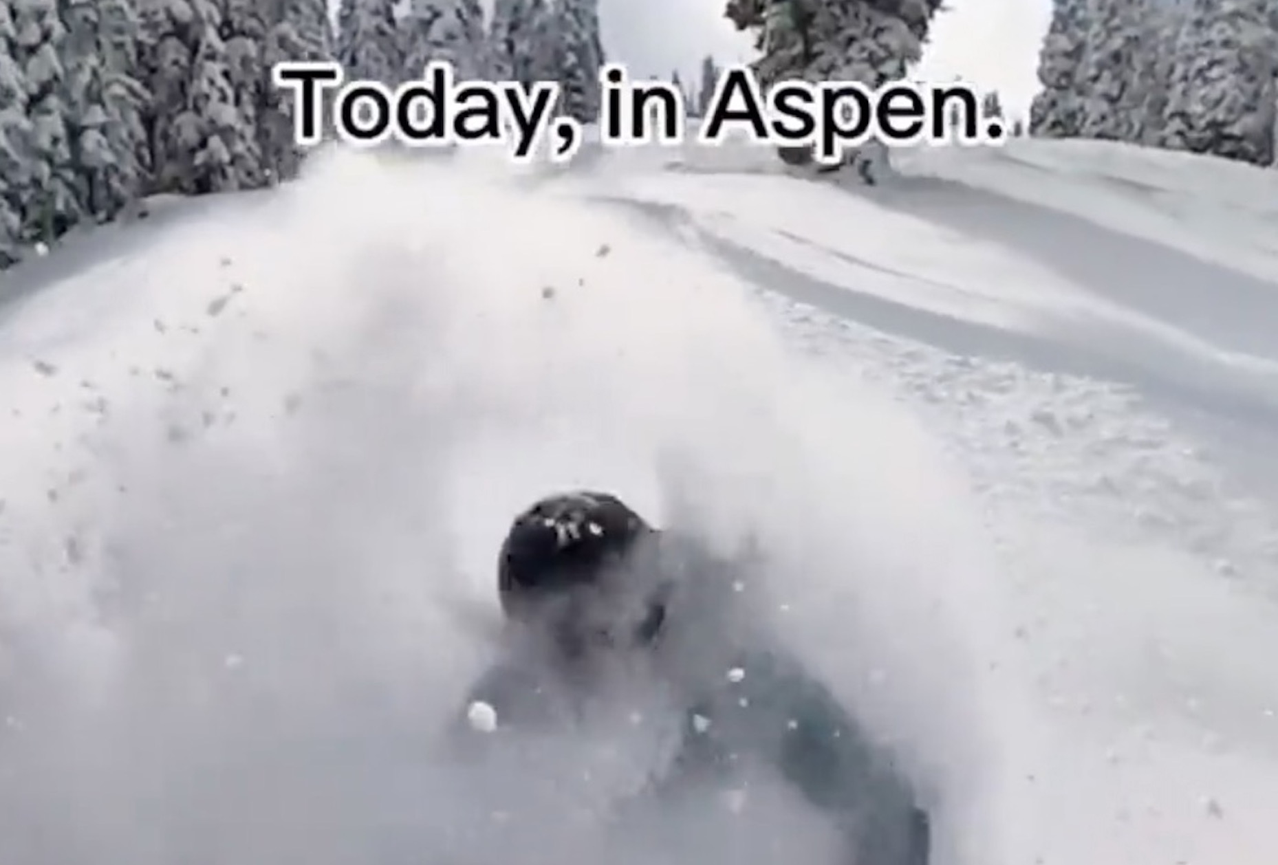 VIDEO: Somebody Got Faceshots Yesterday @ Aspen - Unofficial Networks