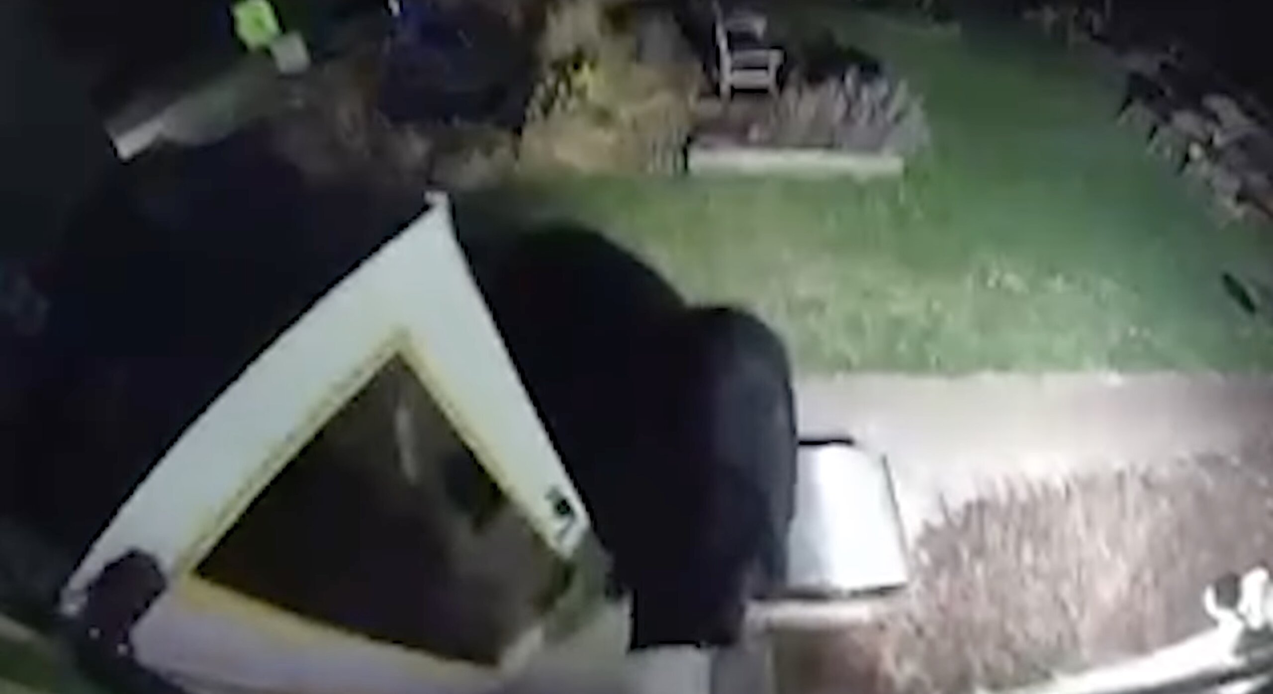 Black Bear Steals 50-Pound Bag Of Sugar From Michigan Shop