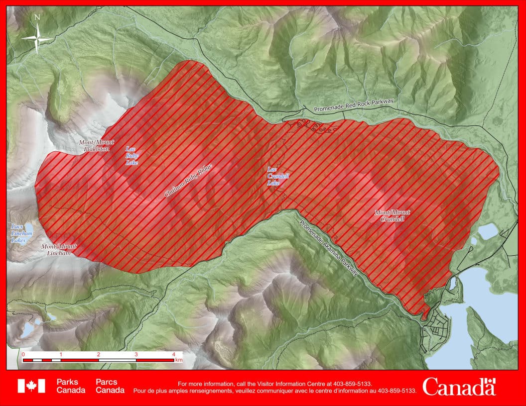 2 Hikers Attacked By Bear At Canadian National Park - Unofficial Networks