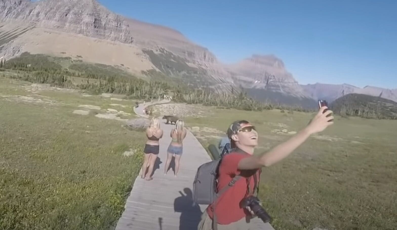 Hiker snaps selfie with grizzly bear @ Glacier National Park