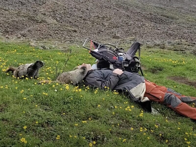 Marmot licks sleeping hikers face @ Tombstone Territorial Park