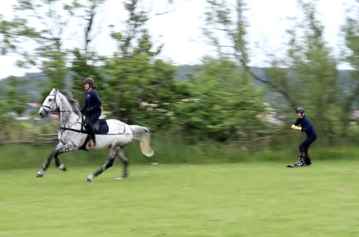Summer skijoring with grass skis.