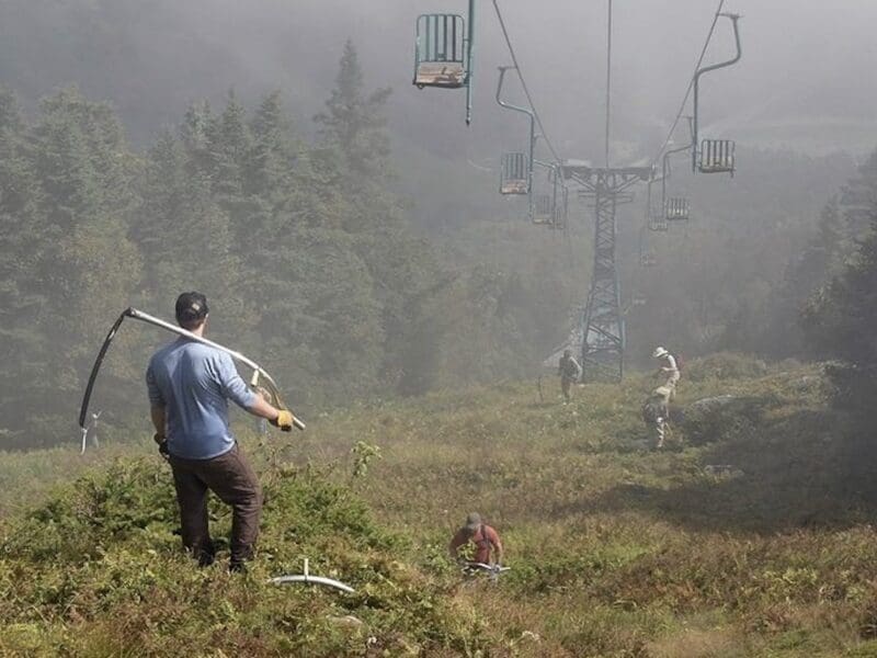 Mow grass earn pass @ Mad River Glen