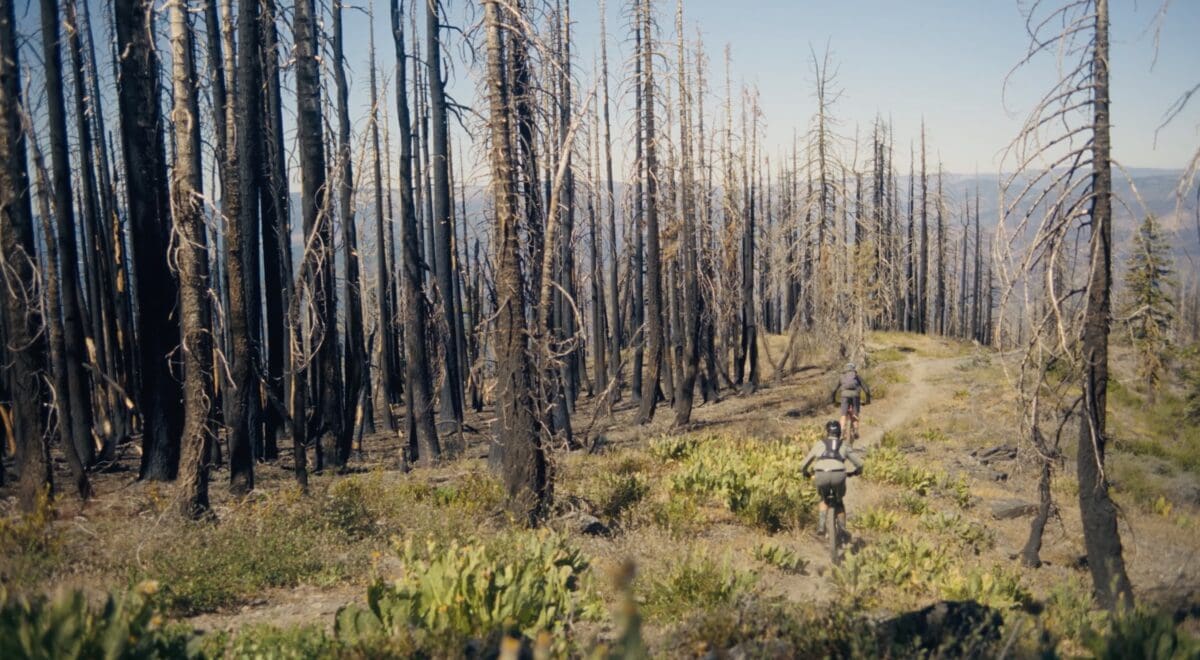 Shot from "Fire Lines"